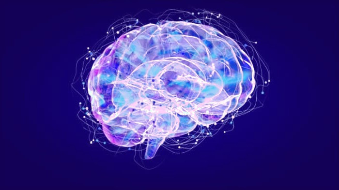 بیماران مغز و اعصاب