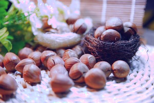 رفع کبودی لبها