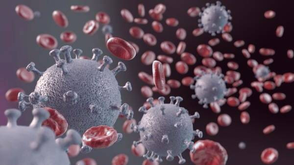 زنده ماندن کرونا