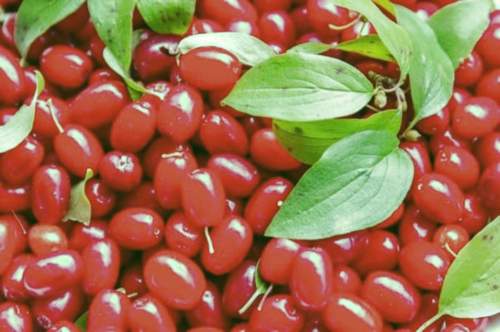 درمان خانگی برای ضعف پاها