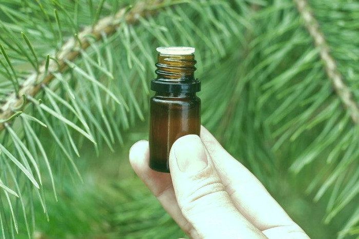 ماندگاری روغن خراطین