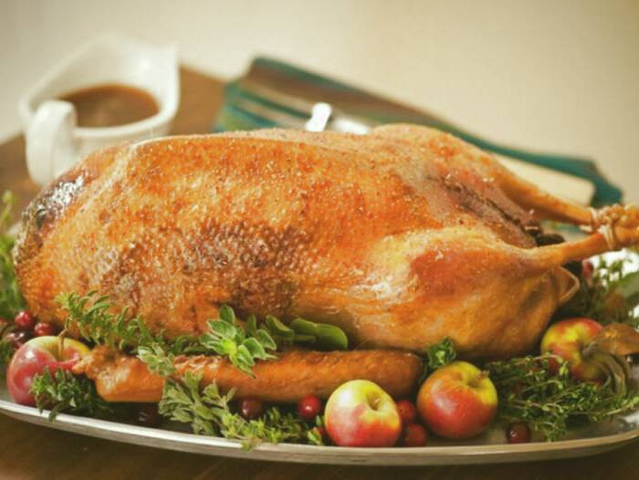 خواص مصرف گوشت غاز گوشت غاز