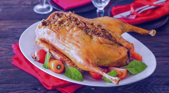 تمام عوارض و خواص خوردن گوشت غاز گوشت غاز در بارداری