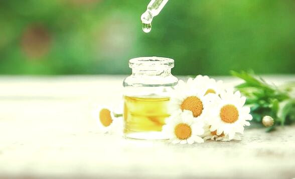 چای بابونه برای درمان خانگی بورسیت چای بابونه