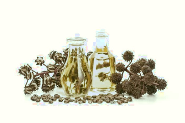 درمان گیاهی بورسیت با روغن کرچک روغن کرچک