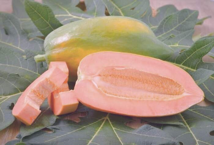 افزایش پلاکت خون با تغذیه مناسب افزایش پلاکت خون با تغذیه