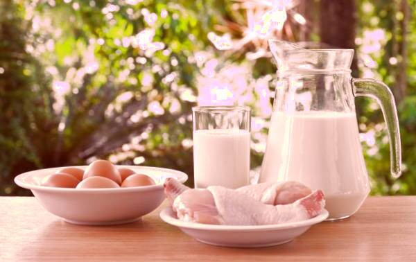 فواید کلاژن در بدن پروتئین کلاژن