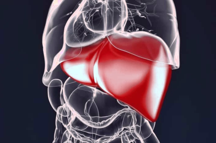 علائم بیماری کبد کبد