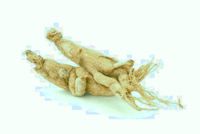 عوارض چای جینسینگ و گیاه جینسینگ مضرات جینسینگ