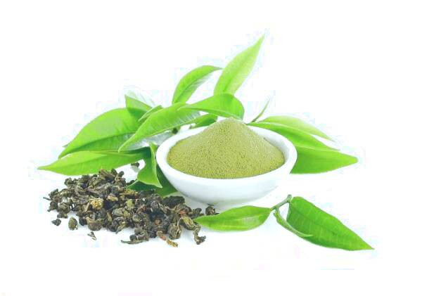 چای ماچا چیست ماچا