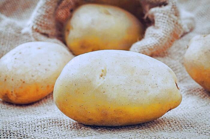 سیب زمینی برای بهبود هضم  بهبود هضم با سیب زمینی
