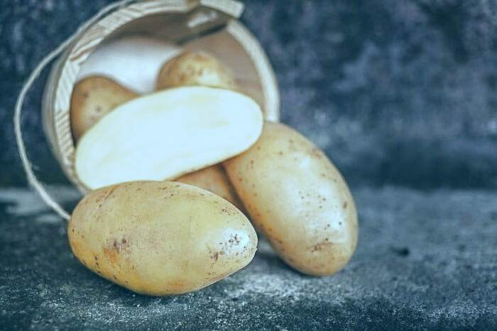 خواص، مضرات، نگهداری و انتخاب سیب زمینی مضرات سیب زمینی و نگهداری سیب زمینی