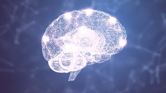 تاثیر غذاها بر مغز و فکر تاثیر غذا بر مغز