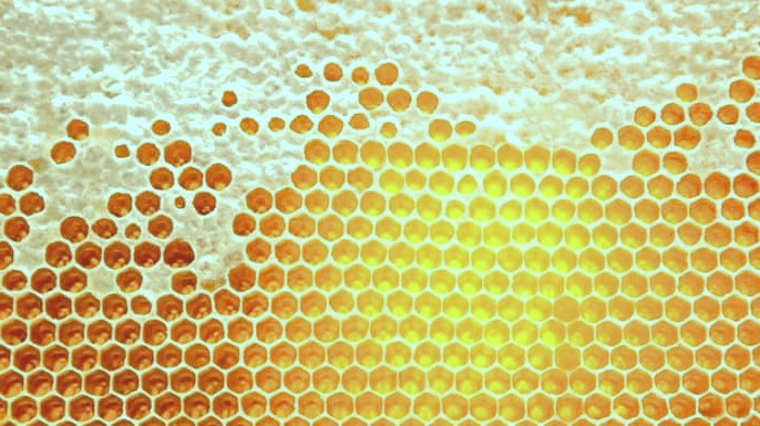 ارزش غذایی عسل عسل برای سرفه