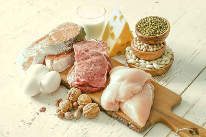 مواد مغذی مورد نیاز بدن پروتئین