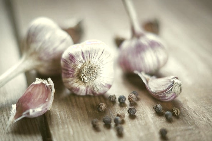 درمان عفونت گوش با سیر سیر