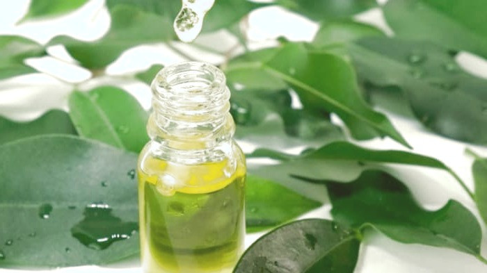 درمان عفونت گوش با روغن درخت چای درمان عفونت گوش