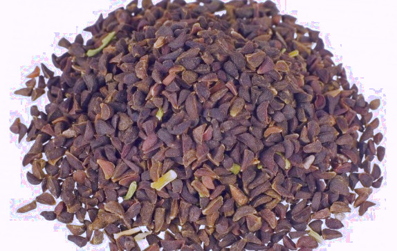 اسپند برای شپش