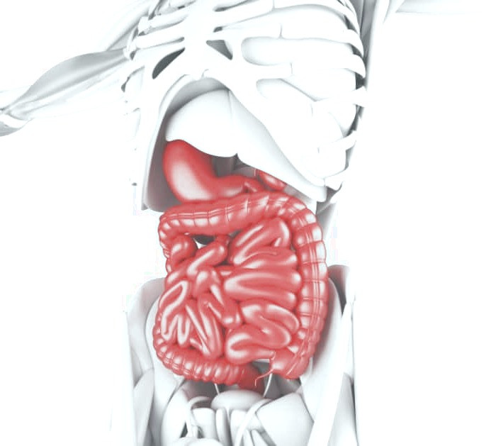 پاکسازی روده