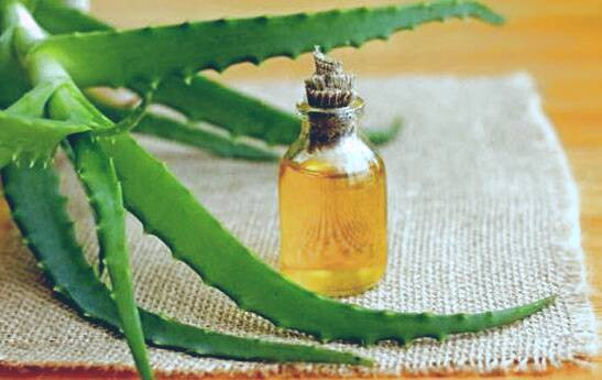  ژل آلوئه ورا