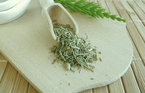 گیاه دم اسبی