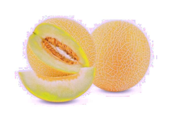 طالبی و لاغری 