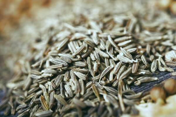 جویدن رازیانه