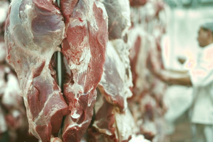 گوشت گوسفندی سالم 