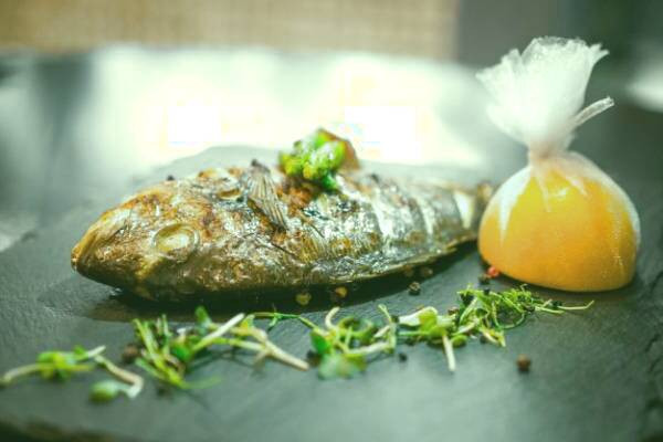 ماهی قزل آلا