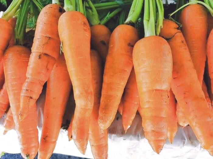 ارزش غذایی هویج 