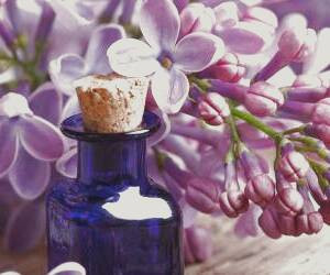 عناوین مرتبط با خواص و کاربردهای روغن بنفشه