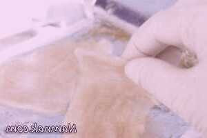 ایجاد ژل متوقف کننده و ضد خونریزی توسط محققان ایرانی