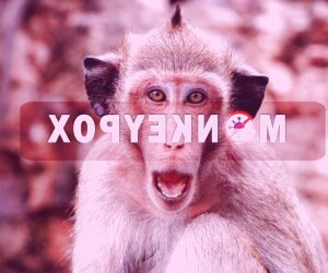 بررسی جامع آبله میمونی: آنچه همگان باید بدانند