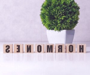 سریع‌ترین و طبیعی‌ترین روش تنظیم هورمون‌ها برای زنان و مردان