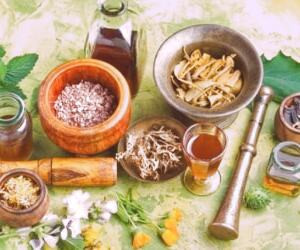 گیاهان دارویی: کشف خواص درمانی و کاربردهای متنوع