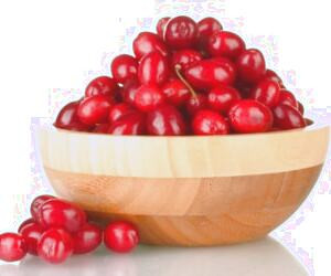 بررسی خواص و مزایای استثنایی زغال اخته و عوارض احتمالی آن