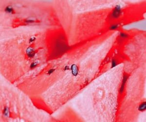 بررسی مزایای شگفت‌انگیز عصاره تخمه هندوانه برای سلامت و زیبایی