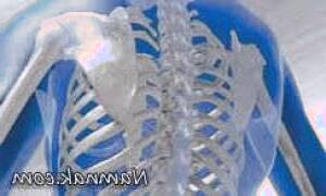 با این راهکارها از پوکی استخوان پیشگیری کنید