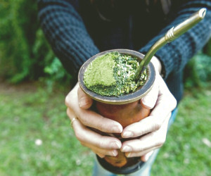 "مزایای چای تربامیت: کشف خواص درمانی و کاربردهای آن"