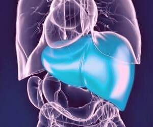 عوامل و نشانه‌های سیروز کبد + پیشگیری و درمان گیاهی سیروز کبد