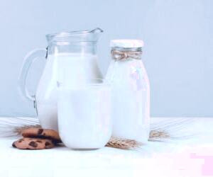 مواد غذایی جایگزین شیر گاو