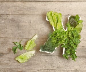 بررسی علائم کمبود ویتامین K و مزایای کلیدی آن + منابع غذایی غنی از این ویتامین