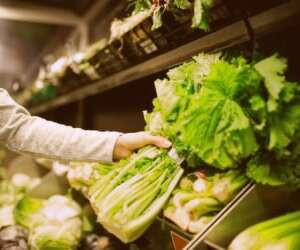 نکات تغذیه ای برای افراد مبتلا و غیر مبتلا به کرونا