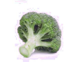 منابع گیاهی غنی از پروتئین