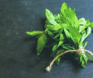 بهترین خوراکی ها برای جلوگیری از خواب آلودگی در هنگام رانندگی