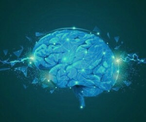 چگونه با مصرف مواد غذایی مناسب به سلامت مغز کمک کنیم؟