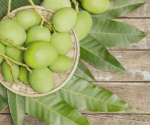 بررسی مزایا و معایب مصرف چغاله بادام