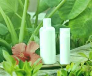 مو با رزماری: راهکار طبیعی برای پرپشت شدن موها + دستور ساخت شامپوی گیاهی مقوی