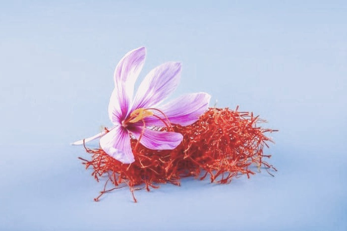 قدرت بینایی