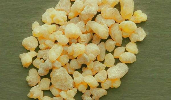 فواید درمانی کندر